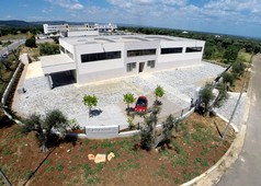 50x70 tela.JPG
